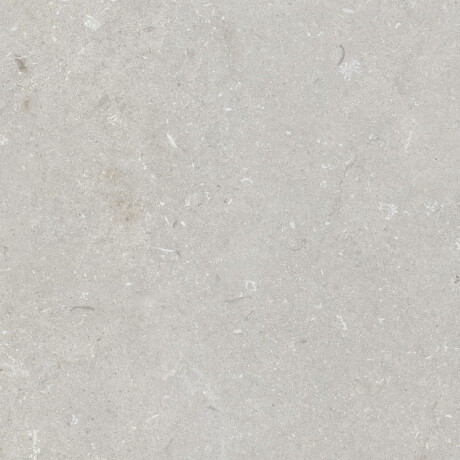 Gres til gulv, 60 x 120 cm, lys grå, matt, A4H1093 Shellstone Bianco #1