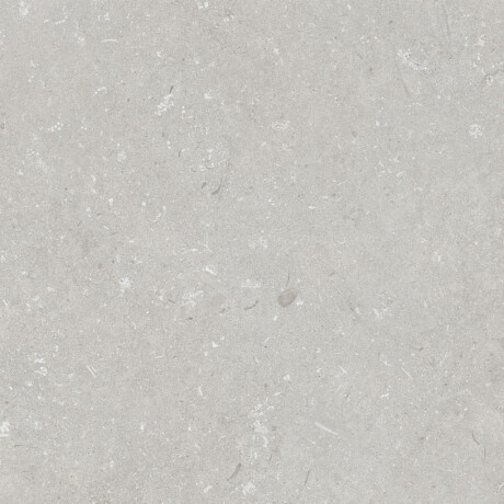 Gres til gulv, 60 x 120 cm, lys grå, matt, A4H1093 Shellstone Bianco #2