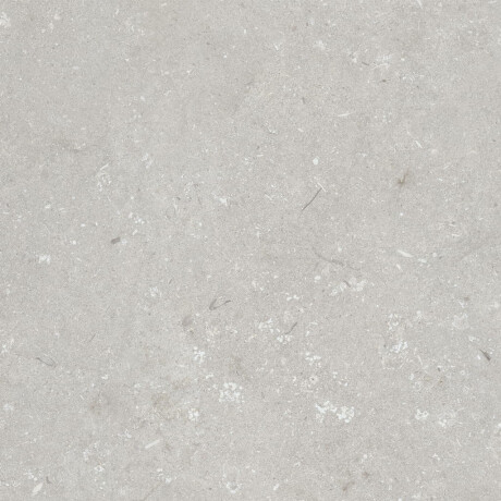 Gres til gulv, 60 x 120 cm, lys grå, matt, A4H1093 Shellstone Bianco #3