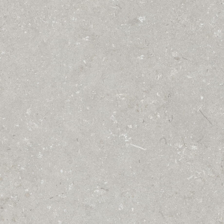 Gres til gulv, 60 x 120 cm, lys grå, matt, A4H1093 Shellstone Bianco #4