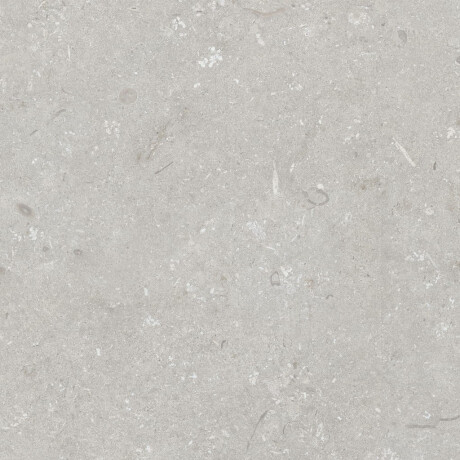 Gres til gulv, 60 x 120 cm, lys grå, matt, A4H1093 Shellstone Bianco #5