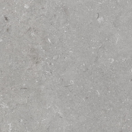 Gres til gulv, 60 x 120 cm, grå matt, A4H1096 Shellstone Grigio #4