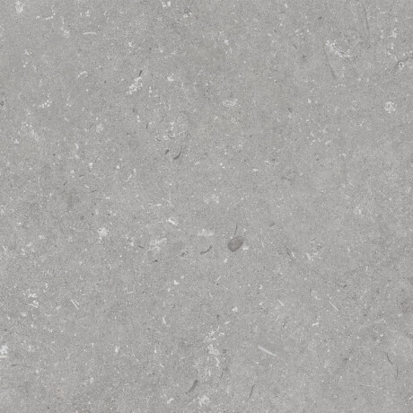 Gres til gulv, 60 x 120 cm, grå matt, A4H1096 Shellstone Grigio #5