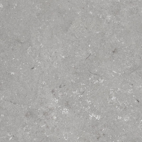 Gres til gulv, 60 x 120 cm, grå matt, A4H1096 Shellstone Grigio #6