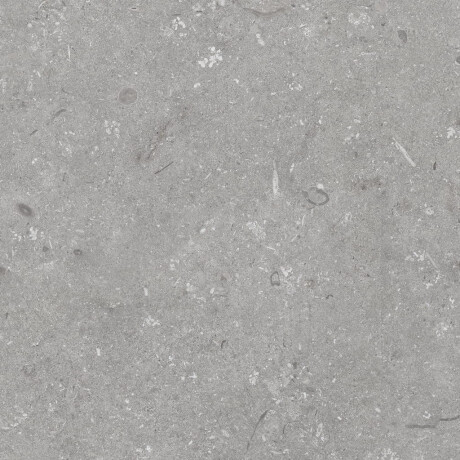 Gres til gulv, 60 x 120 cm, grå matt, A4H1096 Shellstone Grigio #8