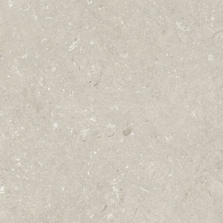 Gres til gulv, 60 x 120 cm, beige, matt, A4H1099 Shellstone Beige #4