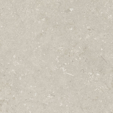 Gres til gulv, 60 x 120 cm, beige, matt, A4H1099 Shellstone Beige #6