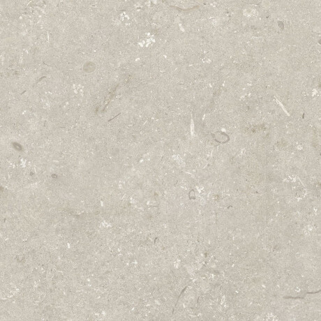 Gres til gulv, 60 x 120 cm, beige, matt, A4H1099 Shellstone Beige #7
