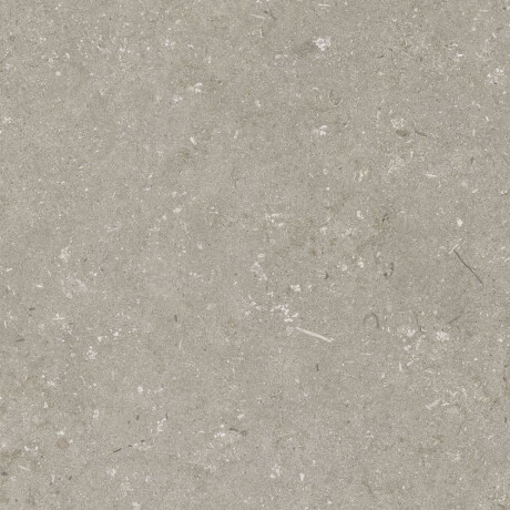 Gres til gulv, 60 x 120 cm, taupe, matt, A4H1102 Shellstone Taupe #4