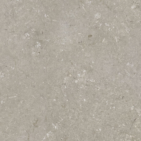 Gres til gulv, 60 x 120 cm, taupe, matt, A4H1102 Shellstone Taupe #5