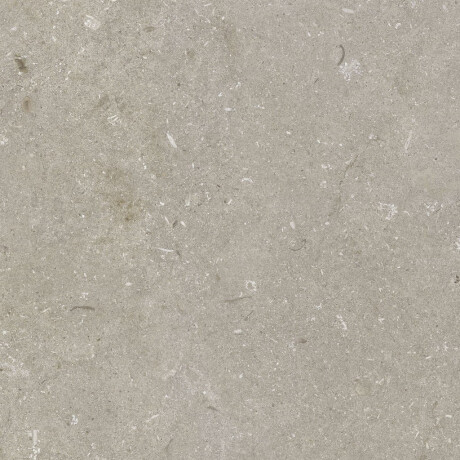 Gres til gulv, 60 x 120 cm, taupe, matt, A4H1102 Shellstone Taupe #6