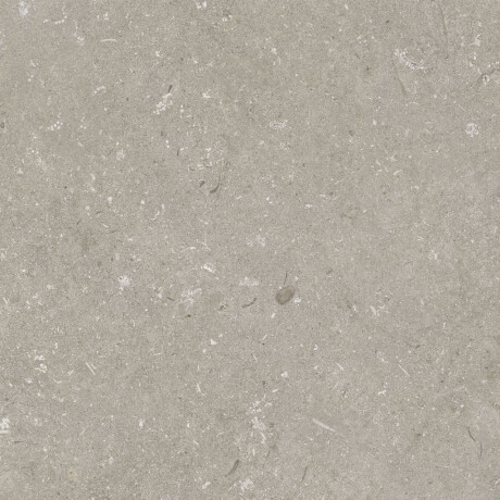 Gres til gulv, 60 x 120 cm, taupe, matt, A4H1102 Shellstone Taupe #7