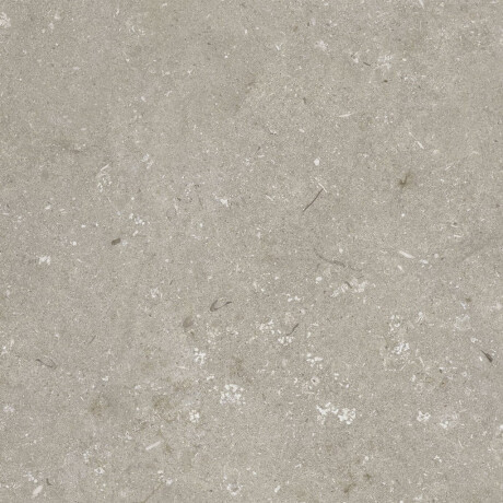 Gres til gulv, 60 x 120 cm, taupe, matt, A4H1102 Shellstone Taupe #8