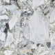 Gresfliser til gulv, 120x120, hvit marmor med gyldne årer, blank overflate, A4H1120 Bellezza Bianca #3