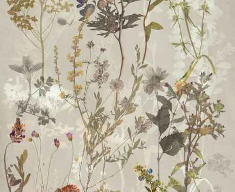 Veggfliser 60x120 cm, grå med blomstermønster, matt A4H919 Glame