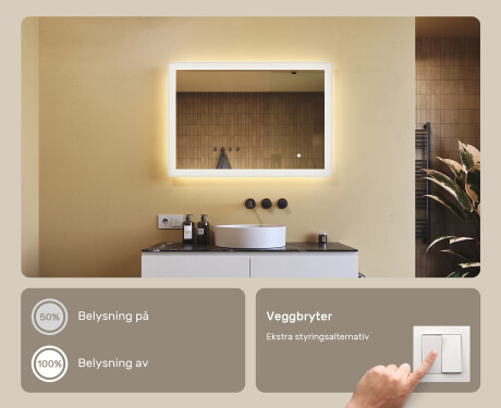 Rektangulært LED-opplyst baderomsspeil 100x70 cm med Dual color, Berøringsbryter #4
