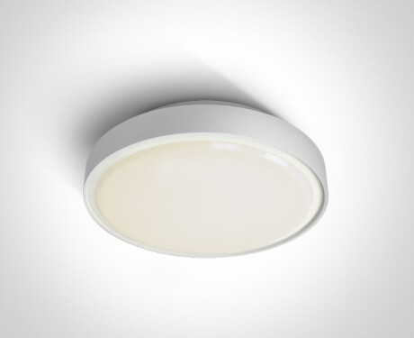 RAFTI AN taklampe 24 W 3000 K IP65 antrasitt