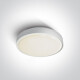 RAFTI AN taklampe 24 W 3000 K IP65 antrasitt #1
