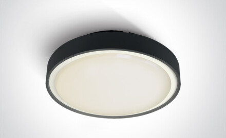 RAFTI EA taklampe 2x12W  IP65 antrasitt
