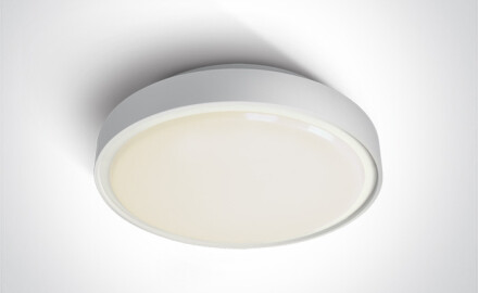 RAFTI EA taklampe 2x12W  IP65 svart