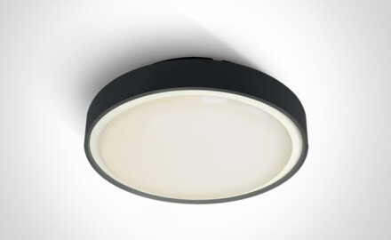 RAFTI E taklampe 12 W  IP65 antrasitt