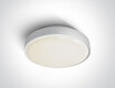 RAFTI E taklampe 12 W  IP65 grå