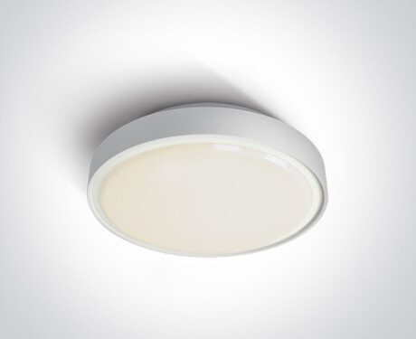 RAFTI E taklampe 12 W  IP65 grå