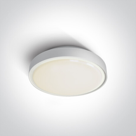 RAFTI E taklampe 12 W  IP65 grå #1
