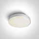 RAFTI E taklampe 12 W  IP65 grå #1