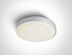 RAFTI N taklampe 16 W 3000 K IP65 grå