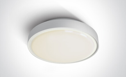 RAFTI N taklampe 16 W 3000 K IP65 grå