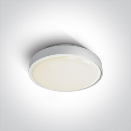 RAFTI N taklampe 16 W 3000 K IP65 grå #1