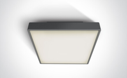 PIRNARI AN taklampe 24 W 3000 K IP65 grå
