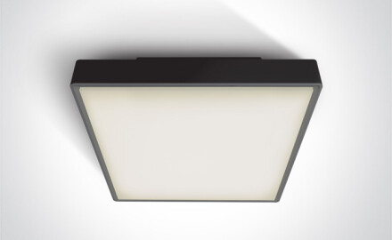 PIRNARI EA taklampe 2x12W E27 IP65 antrasitt