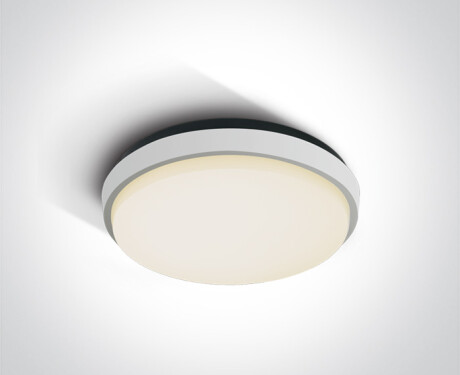 FASIDERI taklampe 20 W 3000 K IP54 antrasitt