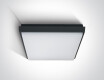 FASIDERI 2 taklampe 30 W 3000 K IP54 hvit