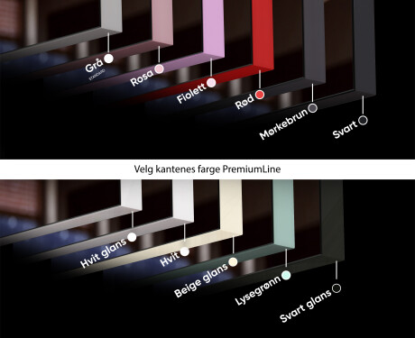 SMART Speil med lys LED L57 Apple #6